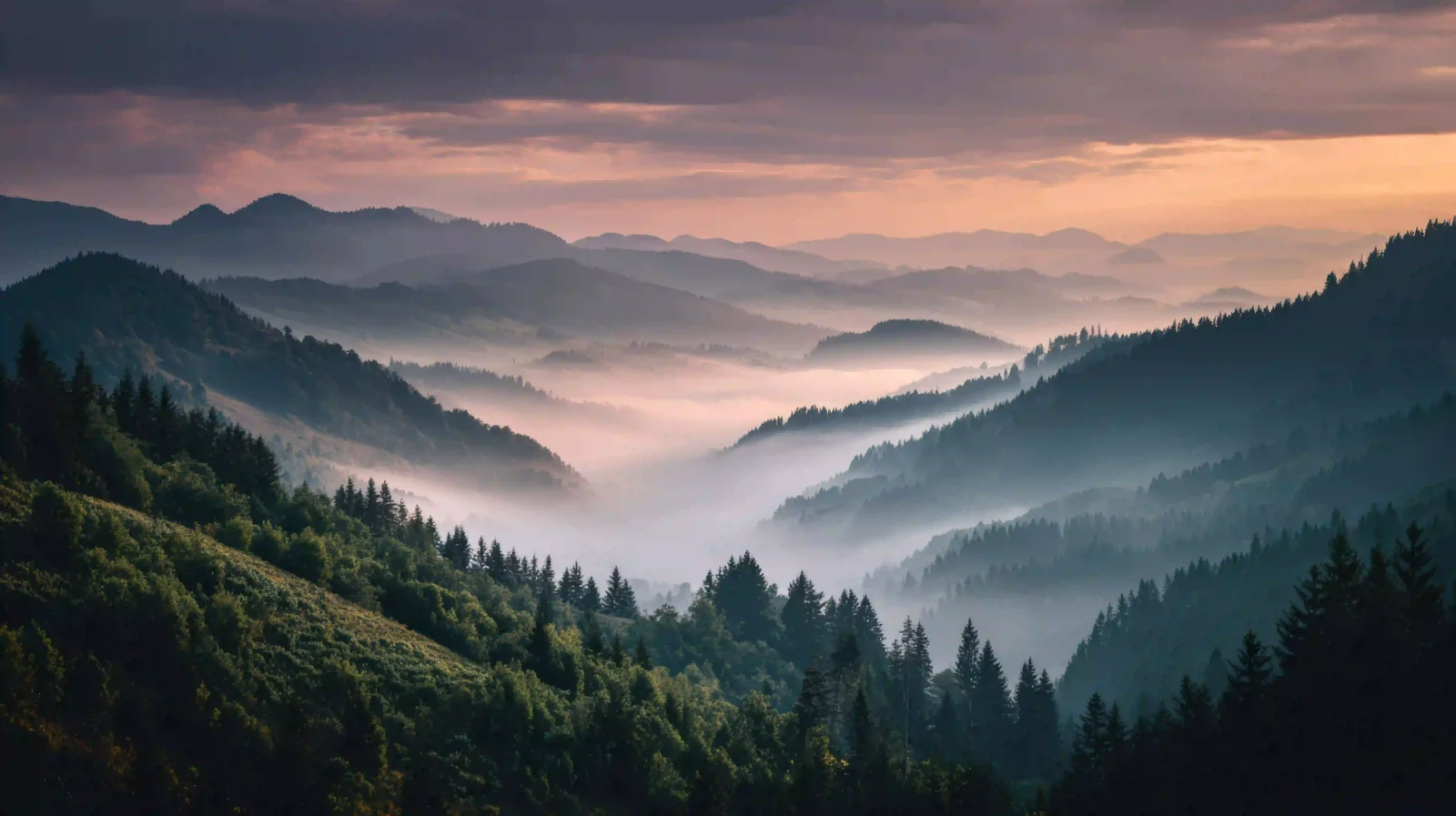 Soft sunrise light over a misty mountain valley