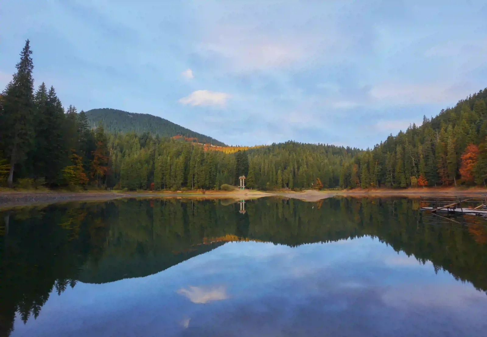 Forest and sky mirrored in a calm lake, an example of symmetry in photography